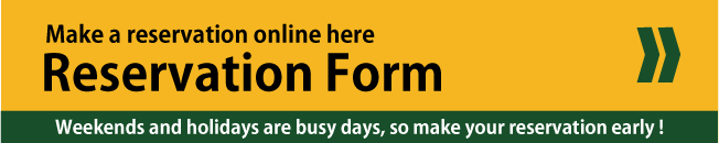 Reservations from the Web