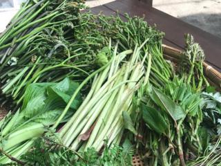 Riverstone glamping stay | RiverStone Glamping | Riverstone Minakami Gunma for glamping