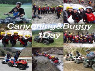 Canyon & buggy (1 Day)